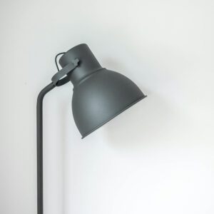 Oline Floor Lamp