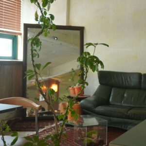 Zora Leather Sofa